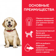 Hill's Science Plan Puppy Large Breed корм сухой для щенков крупных пород, курица