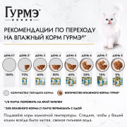 Влажный корм Гурмэ Желе Де-Люкс для кошек, с курицей в роскошном желе