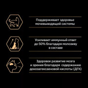 Pro Plan Sterilised Kitten Healthy Start корм сухой для стерилизованных котят от 3 до 12 месяцев, с высоким содержанием лосося