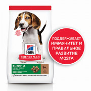 Hill's Science Plan Puppy Medium Breed корм сухой для щенков средних пород, ягненок