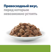 Hill's Prescription Diet Metabolic Weight Management влажный корм для кошек для достижения и поддержания оптимального веса, с курицей