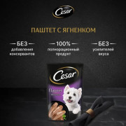 Cesar корм консервированный для взрослых собак паштет с ягненком