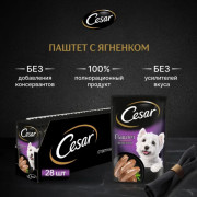 Cesar корм консервированный для взрослых собак паштет с ягненком