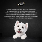 Cesar корм консервированный для взрослых собак паштет с ягненком
