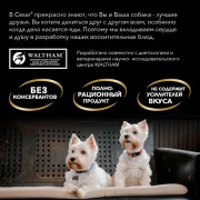 Cesar корм консервированный для взрослых собак паштет с говядиной