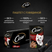 Cesar корм консервированный для взрослых собак паштет с говядиной