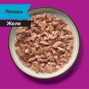 Whiskas Meaty корм консервированный для взрослых кошек рыбная коллекция кусочки в желе с лососем
