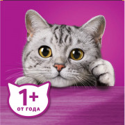 Whiskas корм консервированный для взрослых кошек аппетитный микс курица утка в сырном соусе