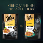 Sheba корм консервированный для взрослых кошек курица ломтики в желе