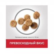 Hill's Senior Vitality сухой корм для пожилых собак мелких и миниатюрных пород 7+ с Курицей и Рисом