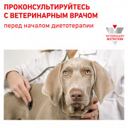 Royal Canin Gastrointestinal Puppy GIJ 29 Canine, консервы диета для щенков, щенных и лактирующих сук весом до 25 кг при нарушениях пищеварения