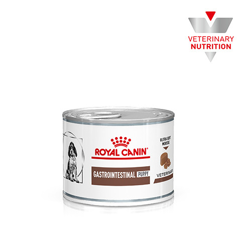 Royal Canin Gastrointestinal Puppy GIJ 29 Canine, консервы диета для щенков, щенных и лактирующих сук весом до 25 кг при нарушениях пищеварения