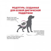 Royal Canin Early Renal Canine сухой корм, диета для собак при ранней стадии хронической почечной недостаточности