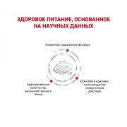 Royal Canin Early Renal Canine сухой корм, диета для собак при ранней стадии хронической почечной недостаточности