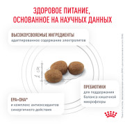 Royal Canin Gastrointestinal Hairball сухой корм, диета для кошек при нарушениях пищеварения и для выведения волосяных комочков