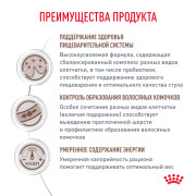 Royal Canin Gastrointestinal Hairball сухой корм, диета для кошек при нарушениях пищеварения и для выведения волосяных комочков