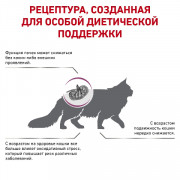 Royal Canin Early Renal Feline сухой корм, диета для кошек при ранней стадии хронической болезни почек