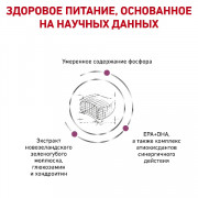 Royal Canin Early Renal Feline сухой корм, диета для кошек при ранней стадии хронической болезни почек