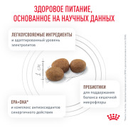 Royal Canin Gastrointestinal Low Fat сухой корм для собак мелких пород