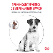 Royal Canin Gastrointestinal Low Fat сухой корм для собак мелких пород