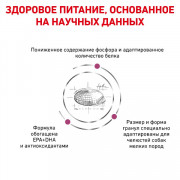 Royal Canin Renal Canine сухой корм, диета для собак мелких пород при хронической почечной недостаточности