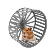 Дарэлл колесо для грызунов пластиковое без подставки, диаметр 140мм