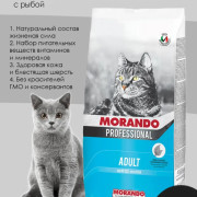 Morando Professional Gatto корм сухой для кошек, рыба