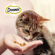 DREAMIES лакомство подушечки с молочной начинкой