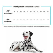 Сухой корм KARMY Hypoallergenic Medium & Maxi для собак средних и крупных пород, склонных к пищевой аллергии Утка