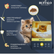 Mr.Buffalo KITTEN корм сухой для котят, беременных и кормящих кошек, курица
