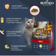 Mr.Buffalo ADULT корм сухой для взрослых кошек, курица