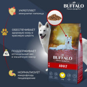 Mr.Buffalo ADULT MEDIUM & LARGE корм сухой для взрослых собак средних и крупных пород, курица