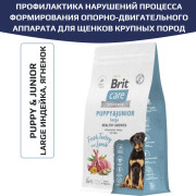 Brit Care Dog Adult Puppy&Junior Large Healthy Growth корм сухой для щенков крупных пород, беременных и кормящих собак, здоровый рост и развитие, с индейкой и ягненком