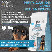 Brit Care Dog Adult Puppy&Junior Large Healthy Growth корм сухой для щенков крупных пород, беременных и кормящих собак, здоровый рост и развитие, с индейкой и ягненком