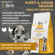 Brit Care Dog Puppy&Junior Medium Healthy Growth корм сухой для щенков и молодых собак средних пород, здоровый рост и развитие, с индейкой и уткой