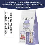 Brit Care Dog Adult Sensitive Healthy Digestion корм сухой для собак с чувствительным пищеварением, с индейкой и ягненком