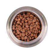 Monge Dog BWild LOW GRAIN низкозерновой корм из мяса гуся для взрослых собак всех пород