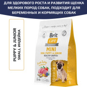 Brit Care Puppy&Junior Small Healthy Growth корм сухой для щенков, беременных и кормящих собак мелких пород, здоровый рост и развитие, с индейкой