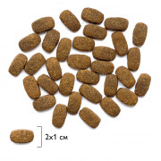 Brit Premium Dog Adult Large and Giant корм сухой для собак крупных и гигантских пород, курица