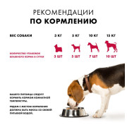 NUTRO корм консервированный в соусе для взрослых собак всех пород с говядиной и томатами