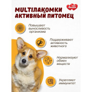 MultiЛакомки лакомство Активный питомец для собак
