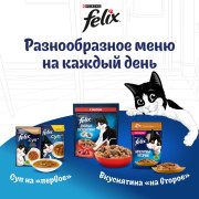 Влажный корм Felix Природа вкуса для взрослых кошек, с лососем в соусе