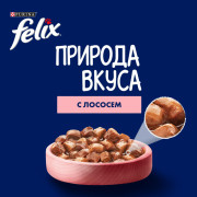Влажный корм Felix Природа вкуса для взрослых кошек, с лососем в соусе