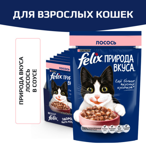 Влажный корм Felix Природа вкуса для взрослых кошек, с лососем в соусе