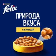 Влажный корм Felix Природа вкуса для взрослых кошек, с курицей в соусе