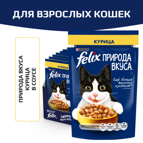 Влажный корм Felix Природа вкуса для взрослых кошек, с курицей в соусе