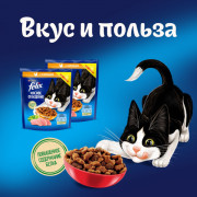 Сухой корм Felix Мясное объедение для взрослых кошек, с говядиной