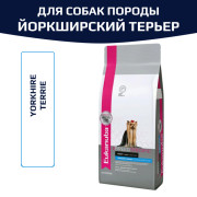 Eukanuba Adult Breed Specific Yorkhire Terrier du Yorkhire корм сухой для собак породы Йоркширский терьер