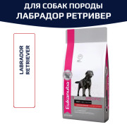 Eukanuba Dog Labrador Retriever корм сухой для взрослых собак породы лабрадор ретривер от года