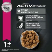 Eukanuba Adult Toy Breed корм сухой для взрослых собак миниатюрных пород